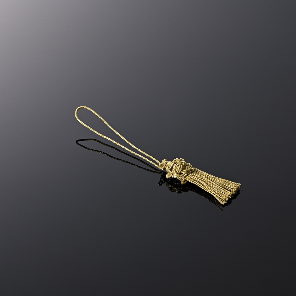 イメージの撮影実績