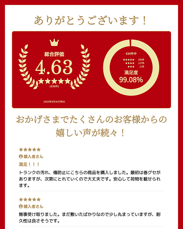 レビュー画像のイメージ